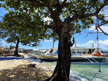 Boracay, Aklan, Filipinler 'de bir sahilde gölgelik alan bir tekne ve bir ağaç.