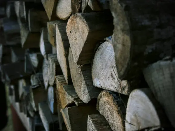 Düzgünce istiflenmiş odun yığını, doğal ahşap dokular ve desenler sergiliyor.