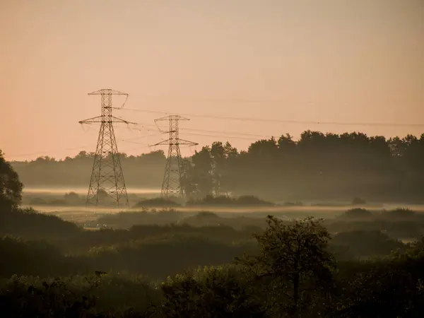 Şafak vakti sisli bir zemin üzerine kurulmuş, sakin ve atmosferik bir sahne yaratan, elektrik hatlarının oluşturduğu sakin bir manzara.