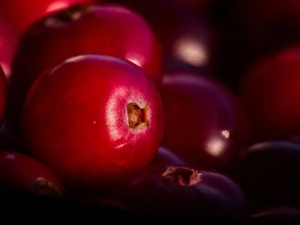Parlak bir kaplamayla koyu bir arkaplan üzerine kurulmuş canlı, olgun kırmızı kızılcıklar.