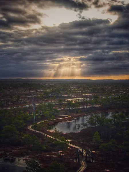 Sisli suları ve çarpıcı güneş ışınlarıyla bulutları aşan sakin bir bataklık manzarası, Kemeri, Letonya