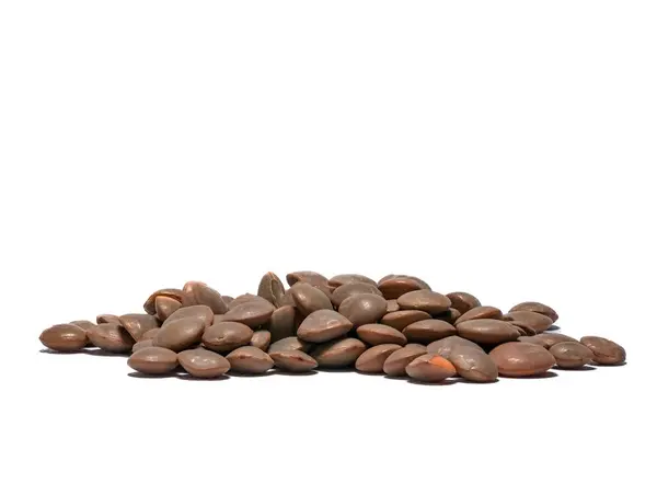 Temiz beyaz arkaplandaki kahverengi mercimek tohumlarının yakın plan görüntüsü doğal dokularını ve toprak tonlarını gözler önüne seriyor.