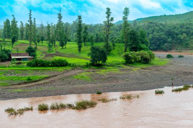 Serene Riverside Manzarası Canlı Yeşil Orman ve Akan Su Parlak Mavi Gökyüzünün Altında