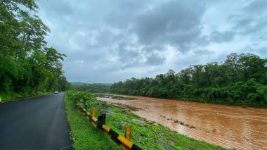 Sahne Yağmurlu Nehir Kıyısı ve Asfalt Yolu Yemyeşil Ormanın Ortası