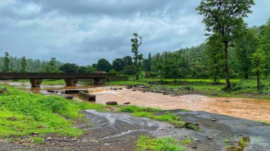 Serene Rainy Peyzaj Akan Nehir ve yemyeşil Bulutlu Gökyüzü