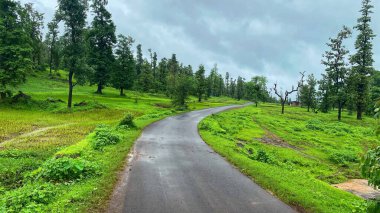 Yağmur sezonunda Dang 'ın Yeşil Ormanında Manzaralı Dönüş Yolu