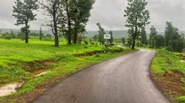Serene Rainy Kırsal Yolu Çevrelenmiş Yeşil Tarlalar ve Ağaçlar