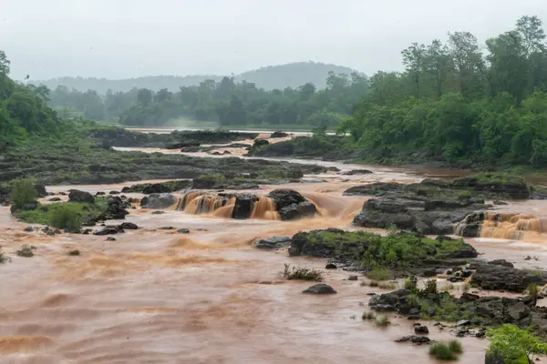 Bulutlu Gökyüzü Altında Çamurlu Nehir Verdant Ormanında Akıyor