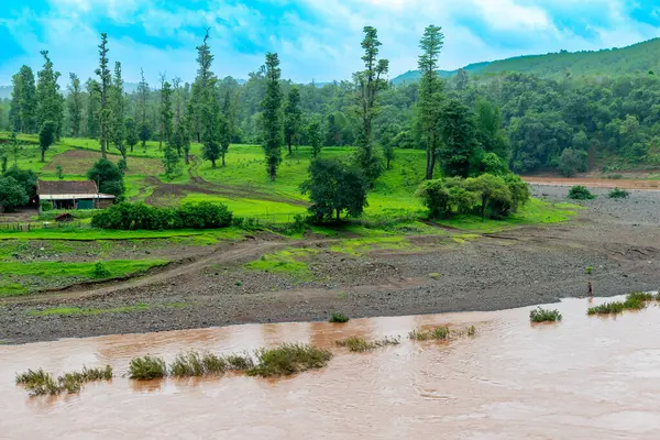 Serene Riverside Manzarası Canlı Yeşil Orman ve Akan Su Parlak Mavi Gökyüzünün Altında