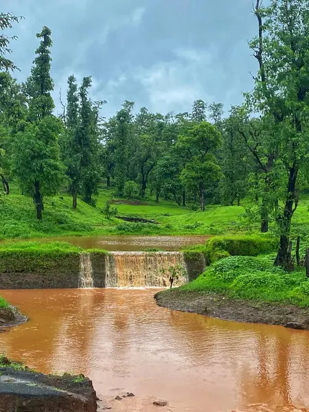 Huzurlu Şelale Etrafı Canlı Yeşilliklerle çevrili Dang 'daki Huzurlu Ormanda