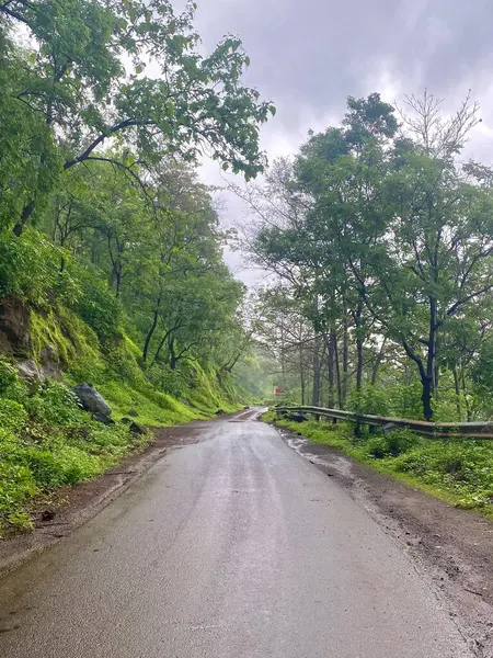 Bulutlu bir günde Serene Rainy Yolu Yeşil Dang Ormanı 'nda