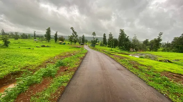 Serene kırsal yolu yemyeşil ile kaplı kasvetli bir bulutlu gökyüzü altında