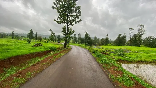 Serene Kırsal Yolu Bulutlu bir günde yemyeşil çayırlarda geriniyor