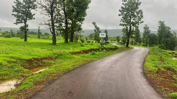 Serene Rainy Kırsal Yolu Çevrelenmiş Yeşil Tarlalar ve Ağaçlar