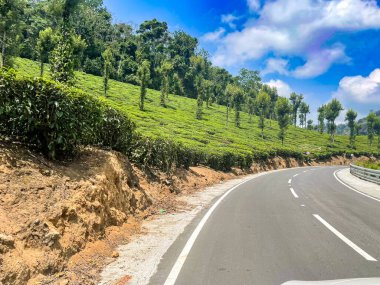 Sarmal bir yol, Valparai, Tamil Nadu 'daki verimli yeşil çay tarlaları boyunca kıvrılır, yemyeşil ağaçlar ve parlak mavi gökyüzü ile çevrilidir..