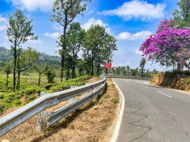 Valparai, Tamil Nadu 'da canlı mavi gökyüzünün altında çay tarlaları ve canlı açan ağaçlarla dolu kıvrımlı bir yol. Batı Ghat manzarası göz kamaştırıcı..