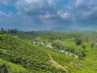Geniş çay tarlaları Valparai 'nin yemyeşil tepeleri boyunca uzanır, Tamil Nadu, Batı Ghat' lerindeki dramatik bulutlu gökyüzünün altında..