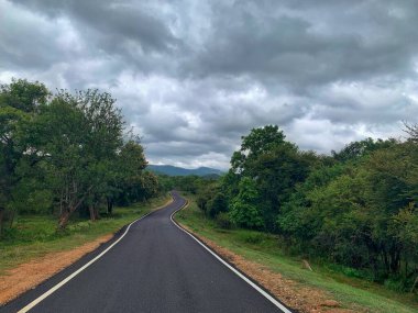 Manzaralı bir viraj yolu BR Hills Tiger Reserve 'deki yemyeşil ormandan geçiyor. Bulutlu bulutlar dingin doğal manzaraya dramatik bir dokunuş ekler..