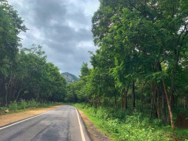 Bulutlu bir gökyüzünün altında BR Hills kaplan rezervlerinin yoğun yeşiliyle çevrili dolambaçlı bir yol. Uzun ağaçlar ve uzak tepeler huzurlu atmosferi güçlendirir..