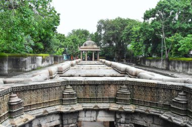 Ahmedabad, Gujarat 'taki bir basamak olan Bai Harir Vav' ın detaylı bir görüntüsü. Bulutlu bir gökyüzü altında yemyeşil, yemyeşil ve karmaşık taş oymaları yer alıyor..