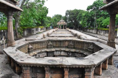 Ahmedabad, Gujarat 'taki Bai Harir Vav stepwell, karmaşık taş mimari ve yemyeşil sergileniyor. Kültür mirasıyla doğal çevreyi harmanlayan tarihi bir eser..