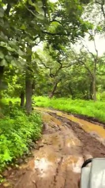 Maharashtra 'daki Satpuda Hills' in kalbinde geçen Melghat Tiger Reserve 'in sık orman patikalarında heyecanlı bir cip safarisi esiyor. Etrafı yoğun yeşilliklerle çevrili olan off-road safarisi mükemmel bir vahşi doğa ve manzaralı manzaralar sunuyor..