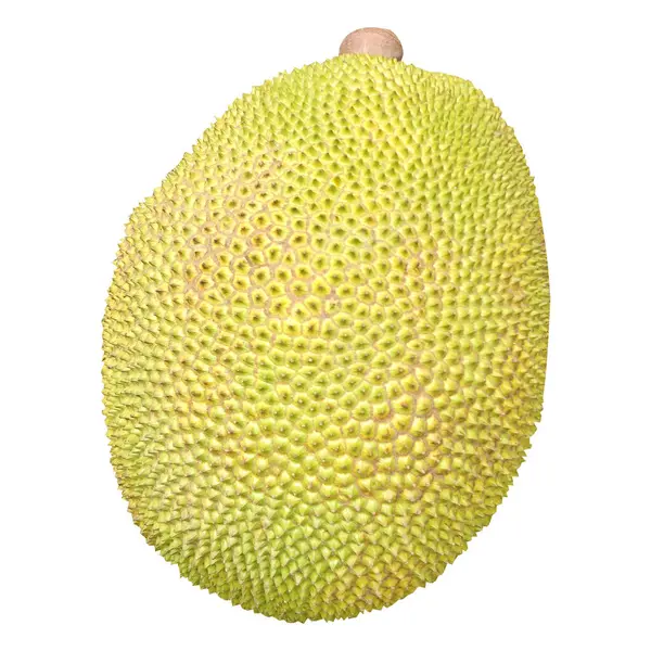 Beyaz arka planda sarı kiraz ağacı