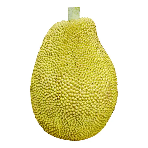 Beyaz arkaplanda Jackfruit izole