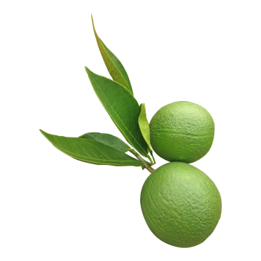 Yaprak Deposu Fotoğraflı Yeşil Malta Meyvesi