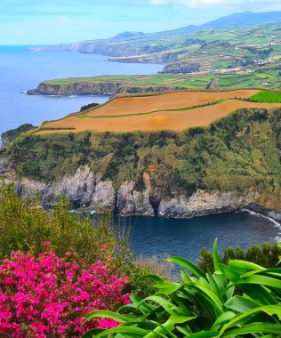 Azores takımadaları, Portekiz 'in batısındaki dokuz yoğun ormanlık, volkanik adadan oluşur..