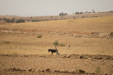 Bu fotoğraf Fas gezisi sırasında çekildi..