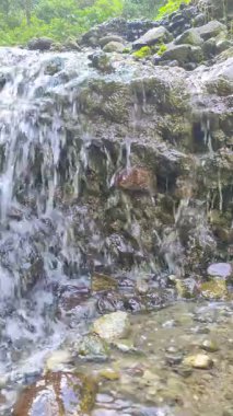 Kristal berrak kaynak suyu Kayalardan aşağı dökülüyor