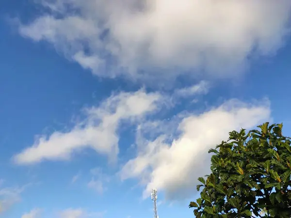 Doğanın basit güzelliğini vurgulayan, yumuşak, dalgalı bulutları olan, parlak mavi gökyüzüne karşı, zengin dokulu yeşil yaprakların güzel bir kontrastı..