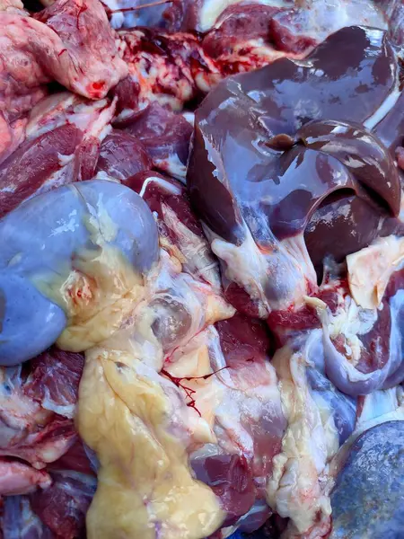 Karaciğer ve kas dokusuyla karışmış gibi görünen böbrek ya da dalak dahil olmak üzere çeşitli organların yakından ve yüksek açılı görüntüsü kasap kesiklerini gösteriyor.