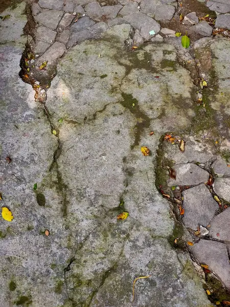  Yıpranmış beton yollar karmaşık çatlaklar, toprak yosunlar ve dağınık sonbahar yaprakları zamanın kucaklamasının bir kanıtı..