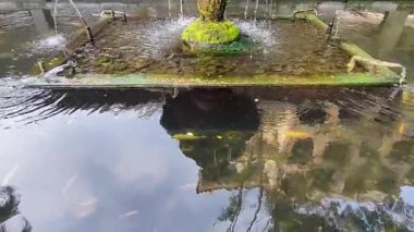 Yansıtıcı sular ve altın balıklarla dolu sakin koi havuzunu keşfedin. Büyük taştan bir fıskiyenin etkileyici spreyleriyle birlikte.