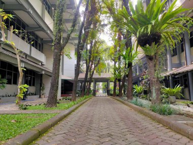 Serene Paved Üniversite Kampüsü 'nden Geçiş Yolu. Brawijaya Üniversitesi, Malang, Doğu Java. 22 Haziran 2025