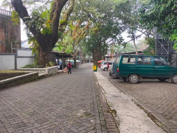 Park halindeki araçlarla Tree Lined Kampüs Yolu. Brawijaya Üniversitesi, Malang, Doğu Java. 22 Haziran 2025