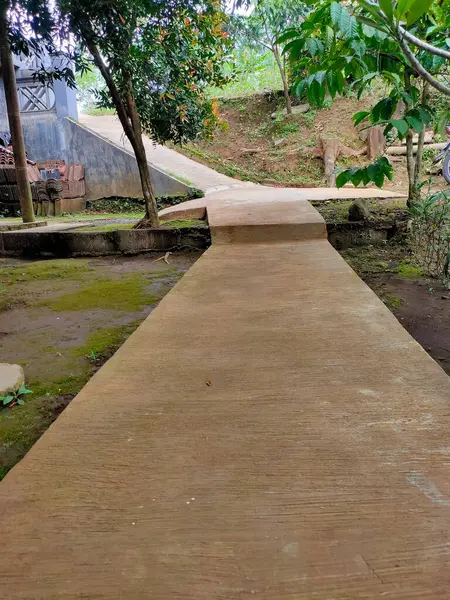 Bereketli, yosunlu ve ağaçlarla dolu bir arazide yokuş yukarı uzanan barışçıl beton bir yol, yolculuğu, büyümeyi ve doğal keşifleri simgeliyor..