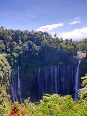 Doğu Java, Endonezya 'daki Tumpak Sewu şelalesinin ikonik geniş bir görüntüsü açık mavi gökyüzü altında yemyeşil kayalıklar arasında sayısız dikey çağlayanı gösteriyor. Nefes kesici bir doğa harikası.