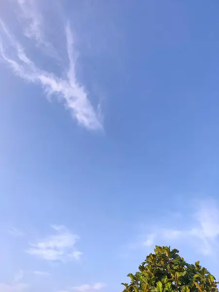 Uçsuz bucaksız mavi gökyüzünün minimalist bir görüntüsü. İnce bulutlu, yeşil ağaçların tepesinden görünen.