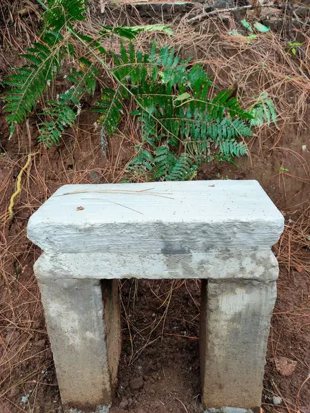 A single, rustic concrete stool set against a backdrop of green ferns and pine needles on the forest floor. The simple, raw design contrasts with the organic surroundings, offering a unique blend of man-made and natural elements
