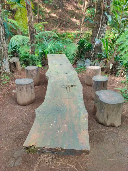 Çiğ ahşap masa ve kütük tabureleri ile büyüleyici bir açık hava oturma alanı, doğal bir ortamda yemyeşil arasında yerleşmiş