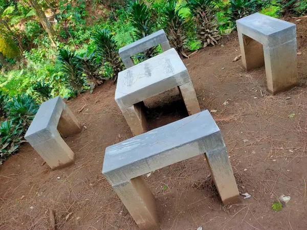 Basit beton bloklardan yapılmış, çam iğneleriyle kaplı doğal bir zemine kurulmuş, kırsal bir açık alan.