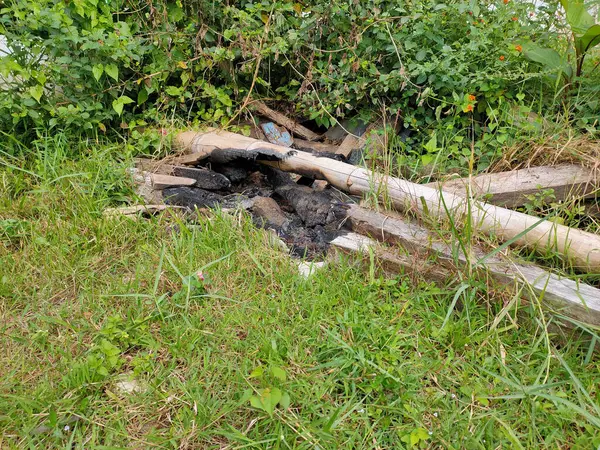 Kamp odunlarının kalıntıları ve asheslie canlı yeşil çimenlerin içinde ve çalılarla çevrili..