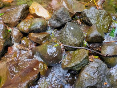 Doğa Akıntısı Islak Kayaların Üzerinden Akıyor