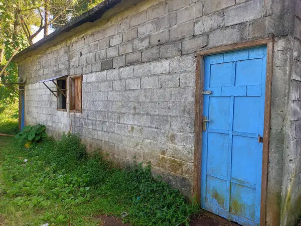 Dilapidated cinder block structure with a bright blue door and overgrown vegetation