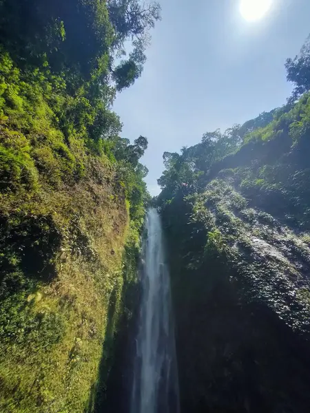 Majestic Waterfall Cascading Down Lush Green Tropical Mountain Surrounded by Dense Forest Canopy and Bright Sunlight