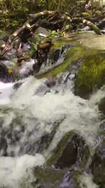 Serene Woodland Akıntısı Yosunlu Kayaların Üzerinde Şelale Gibi