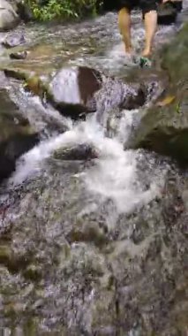 Kişi yemyeşil bir çevrede, kayalık bir derede yüzüyor.